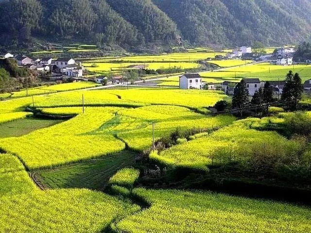 旅游必去的20个古镇,想去静静地待几天【2020热门旅游景点】