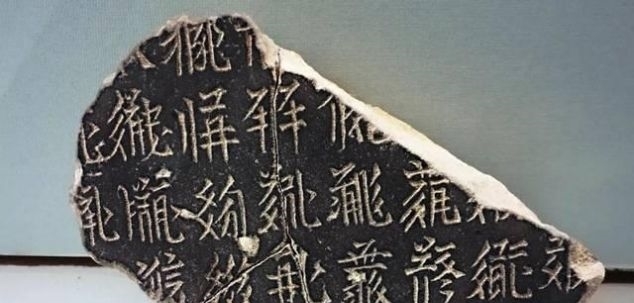  封建：从原始部落到封建帝国，党项族是如何做到的从4个方面分析