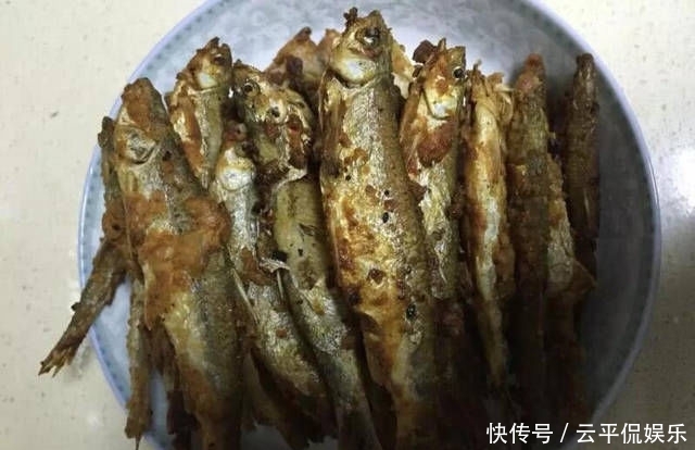 不折不扣:垂钓长江边,不折不扣的当了回“白条杀手”