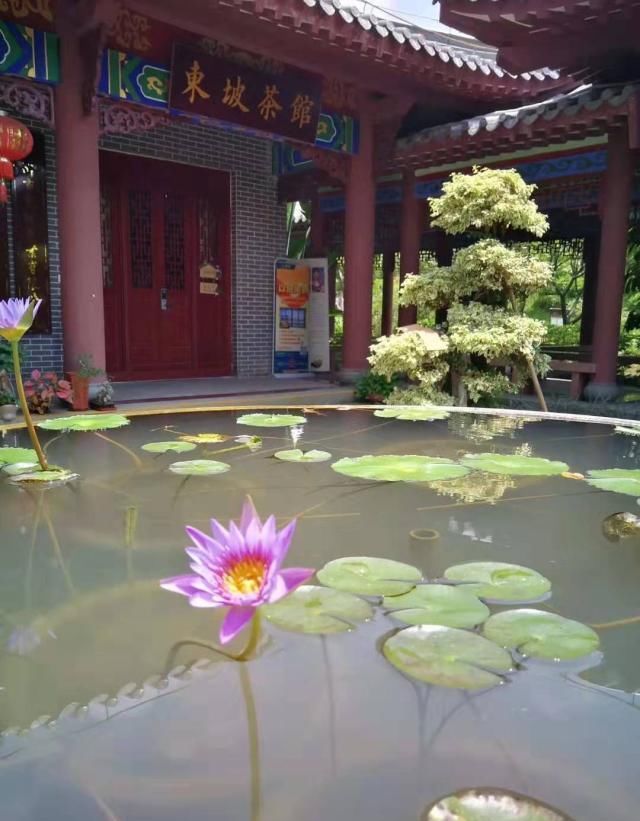 惠州最美的湖泊，有五湖六桥之称，因苏轼改名，与杭州西湖齐名！