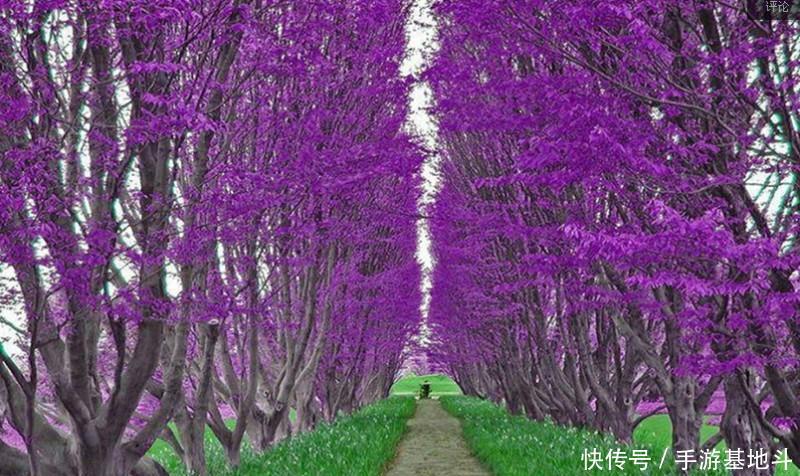 天行健, 君子以自强不息地势坤, 君子以厚德