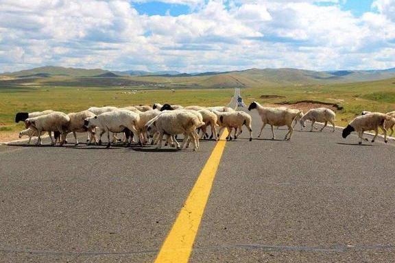 中国最美的几条自驾游公路，一定要开上爱车去一次，错过实在可惜