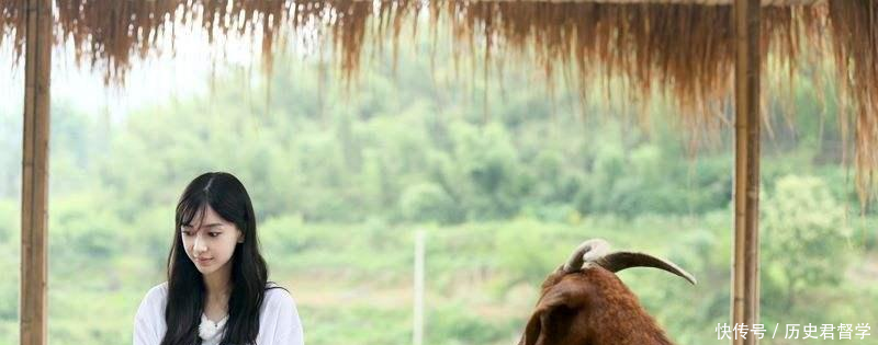 Angelababy在节目中假吃 节目组的回复让人哭笑不得