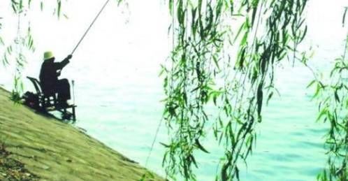  过了小满之后：季节不同，气候不同，想要渔获多一些，钓法也要随着变