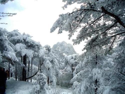 大雪过后的黄山，美景迭出