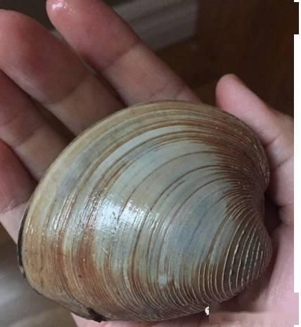  [不需要鱼证]爱岛解禁，渔季到来，我们可以去钓鱼吗？需要注意哪些规定？