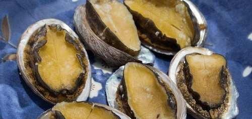 没有外交国防的岛国, 芒果任吃鲍鱼龙虾没人要, 秒杀马代对华免签