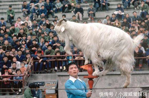  【在一起】老照片1980年的重庆朝天门是这个样子，你还记得吗