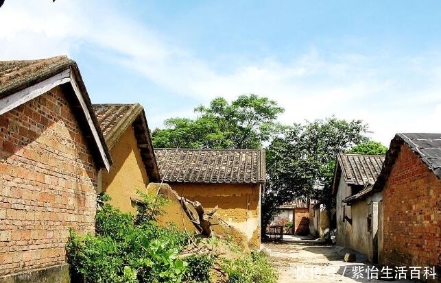  「农村」农村将采取统一规划建设，这3类村庄有福了，将优先享受