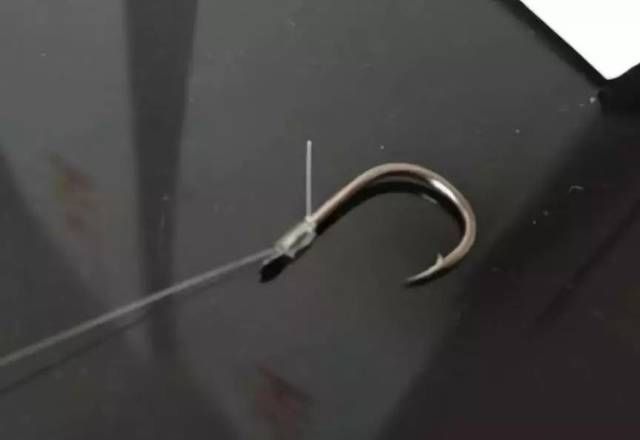  用法■子线用法有“秘诀”，3分钟学会后，上鱼率至少提高1倍！