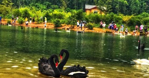 『普者黑』三生缘起,火了的不止是小九和帝君的盛世虐恋,更有此地!