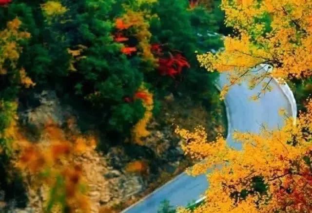 「自驾秦岭」秦岭这5条老公路，承包了最斑斓的深山秋色