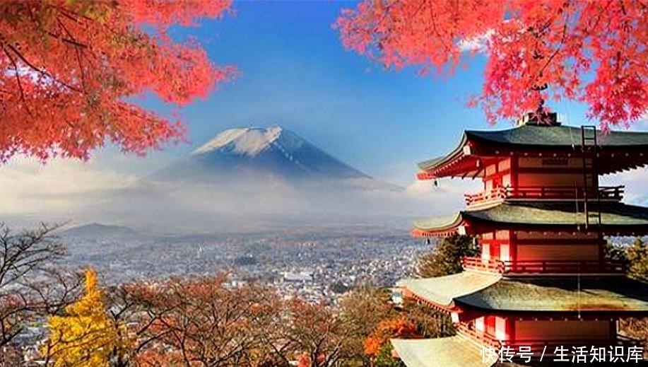 日本|与京都红叶相比,樱花根本不值一提!