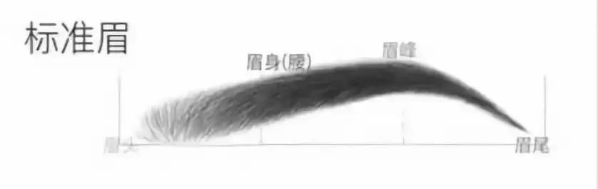 璎珞如懿带火的柳叶眉，到底适不适合你？