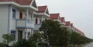  [2020年]2020年土地“马上归并”！3类村庄搬迁，每亩土地补6万