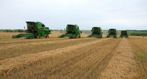  租地：注意！农村租地一定不要随便签字，这两个“陷阱”千万别