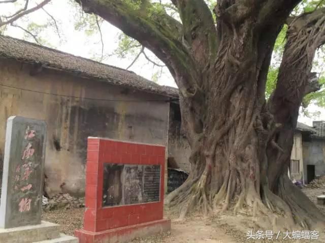 “江南第一村”蒋经国亲笔提名的村庄