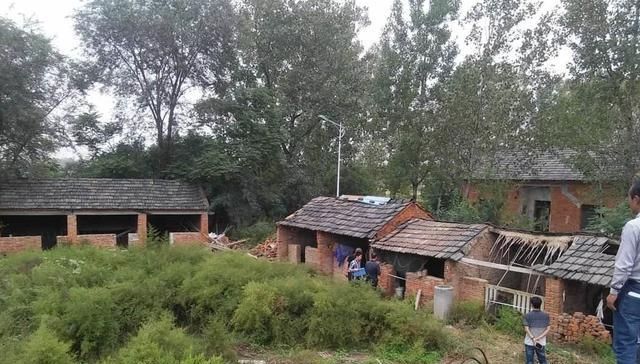  「养殖场」农村将再次进行查封拆除！特别是这3种养殖场，农民要