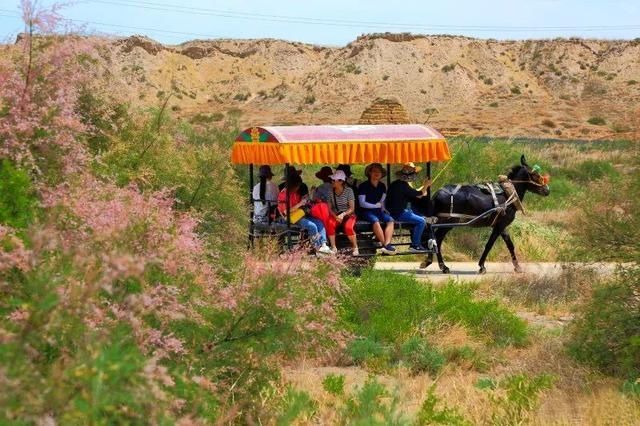  [旅行]水洞沟燃爆四月，不可错过的一次旅行！