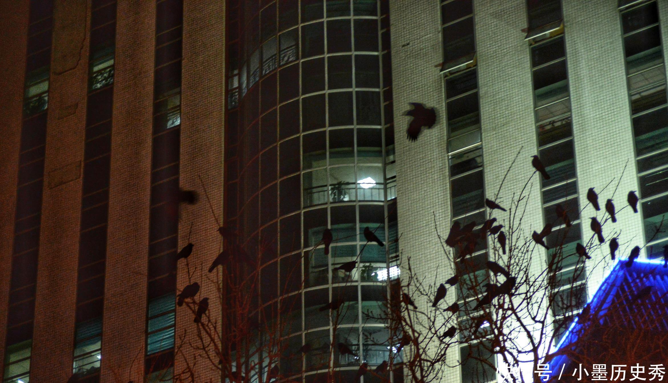 这里曾是清代公主墓地，现在是北京著名商业区，每到晚上乌鸦成群