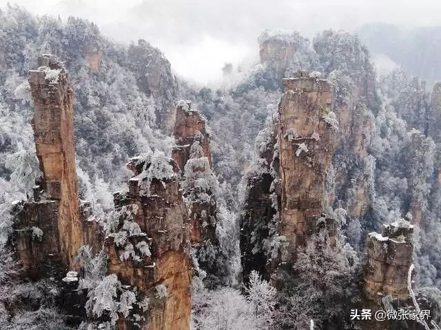 赞!张家界春节收入18亿，春雪正美，再不来要后悔了!