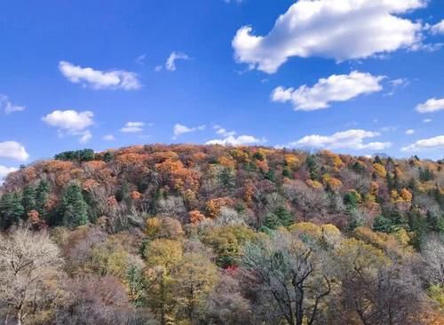 中国最“奢侈”的河，河水都是高品质矿泉水，零下30度都不结冰