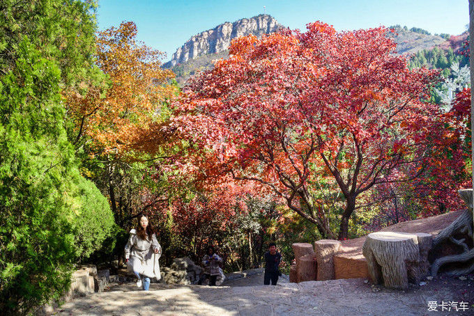 红遍万山的红叶谷【2020热门旅游景点】