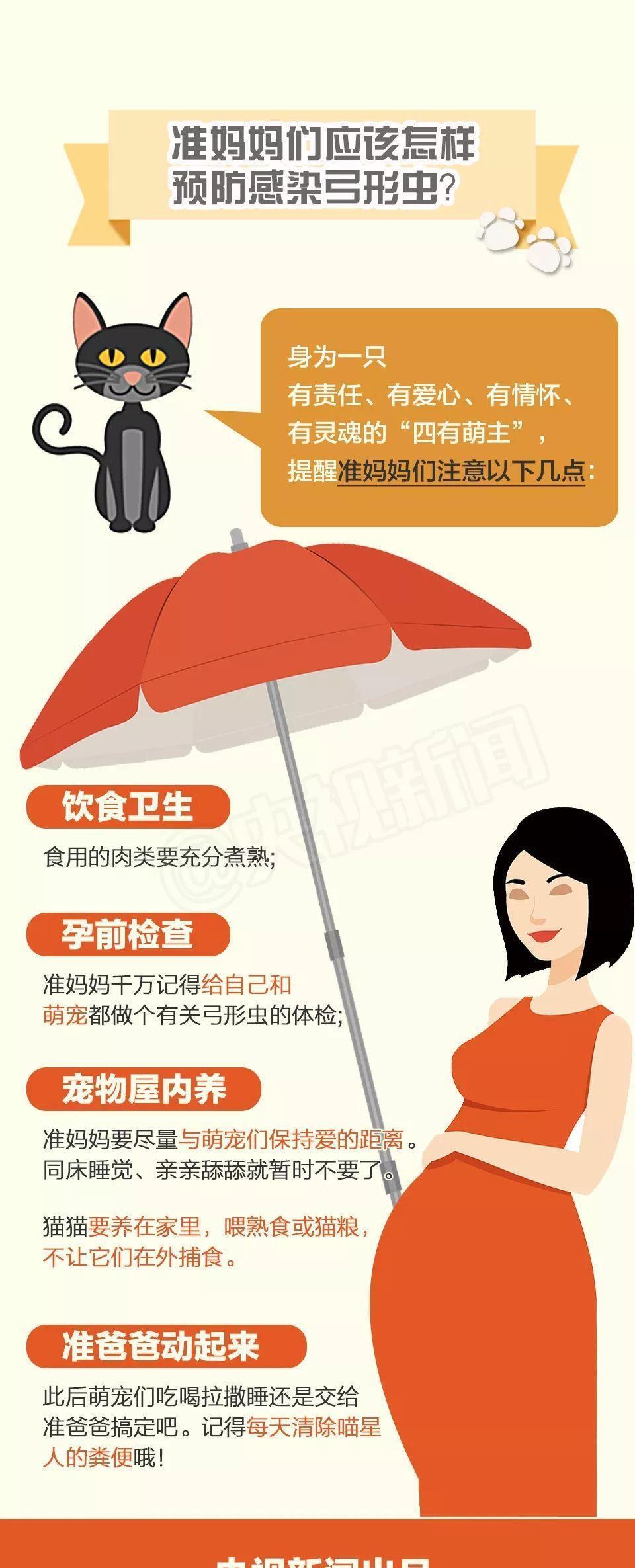 还在相信怀孕不能养宠物吗? 连央视新闻都出来辟谣了!