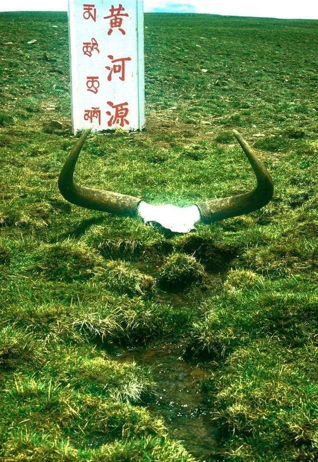  【碗口】中国的母亲河为何是源头只有碗口大的黄河，而非长江？