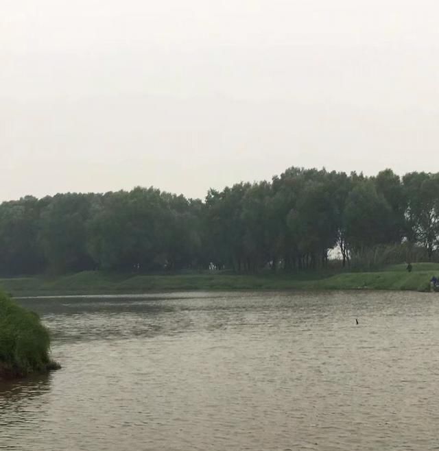 【水位上涨】春钓东洞庭湖附近水域,熟悉这些鱼情不空军
