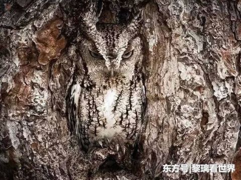 全球9大奇观，美到发狂令人窒息