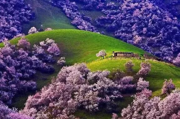 三月，去看中国最美春光