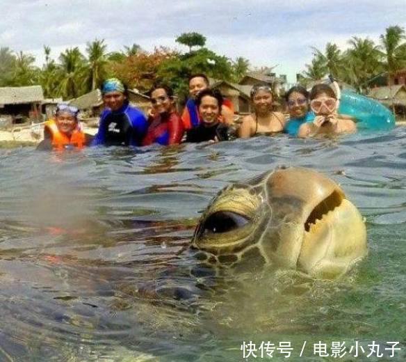 搞笑段子:女朋友跟我分手了,万念俱灰的我,关紧