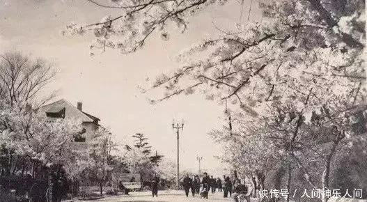 一组中山公园老照片，是否有你熟悉的身影、美好的回忆！