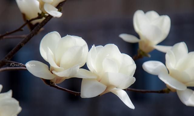  幽默@幽默笑话：就知道你小气，花我的钱
