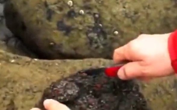 男子在海滩上游玩发现怪石，切开后情绪失控