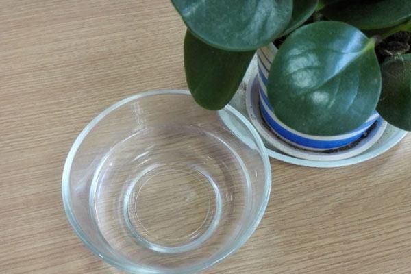 吃什么可以美白 让你摇身一变白富美