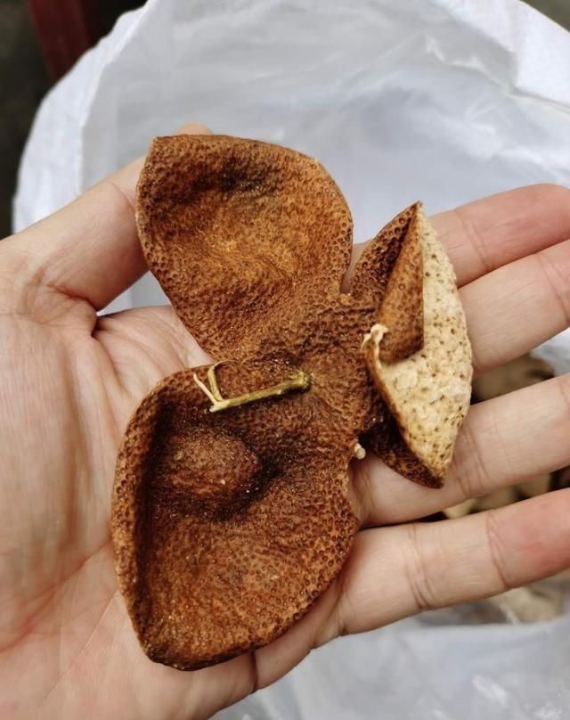 【产区】一方水土养一方皮,说说新会陈皮的“核心产区”!