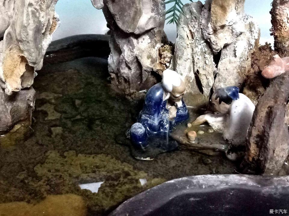 小山水盆景里的大千世界