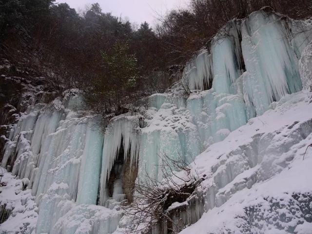 初冬已至，降温来袭 | 陕西这些地方已经下雪啦！想看雪景的走起