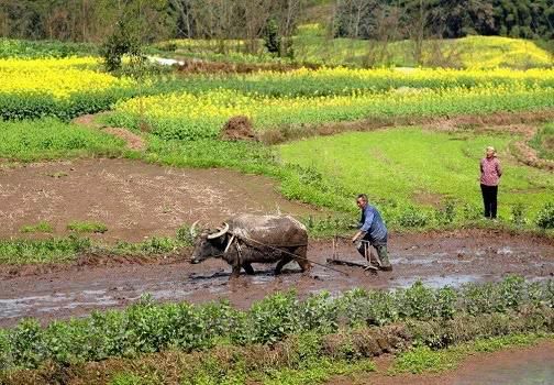 未来5年，农村4类人越过越穷，很难富起来，不少农二代“中招”