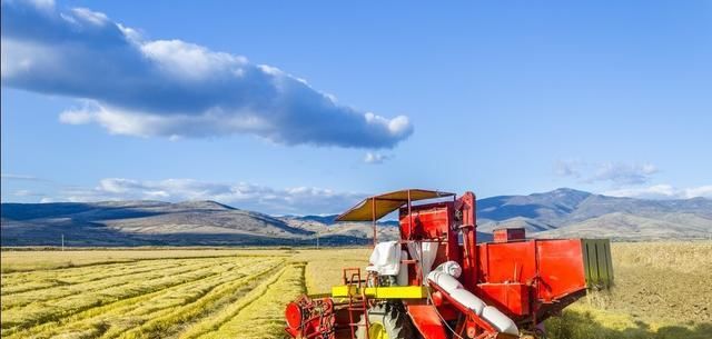  『各省』2019中国各省粮食产量排名，你的家乡上榜了吗？