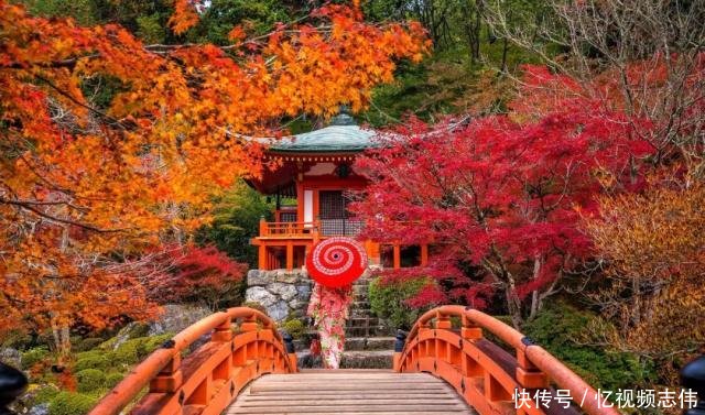 世界赏枫高阶指南｜日本与加拿大到底去哪一个