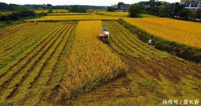 19年的农村，这3大行业已经“崛起”，有面子还有钱赚，提前注意