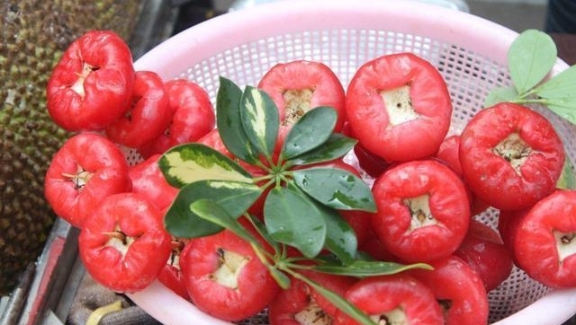 农村一水果长得像辣椒，被称为水果之王，一斤至少20元