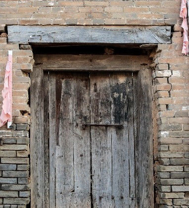  树木@农村老家的树木大家的门，渐渐消失了，难道还有回忆吗