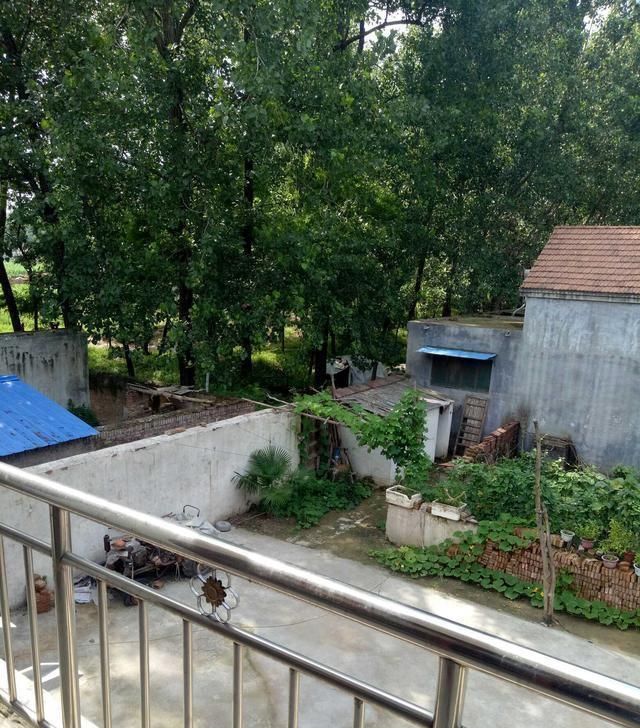  「我家」休假回农村来了，晒晒我家的农村小院，还是农村好！