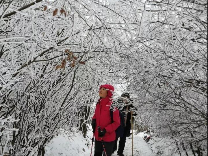 这次，你有错过绿春湖的雪景吗？那种美，简直难以名状……
