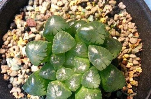 『整体感』90㎡个性混搭三居,别有洞天的隐形门设计,整体感好、趣味性强!