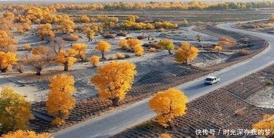  #乌苏#中国在塔克拉玛干沙漠，耗资上亿种下大量植物，现在都怎